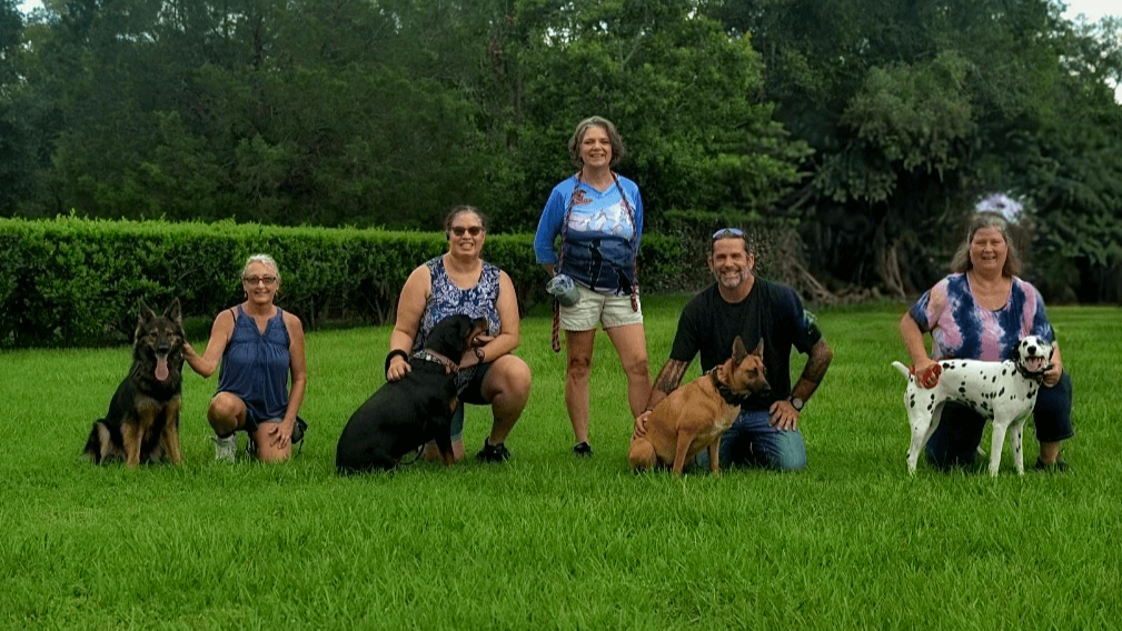 IMG_7229 (1) crop German Shepherd dog behavior training.<br />
Rottweiler dog obedience training.<br />
Malinois dog separation anxiety training.<br />
Dalmatian dog reactivity training.